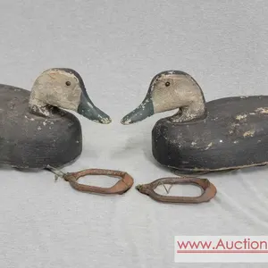 A Pair of Antique Herter's Oversized Working Decoys. These Green Billed Big Boys are 19" long and in Great Condition for working decoys of alm