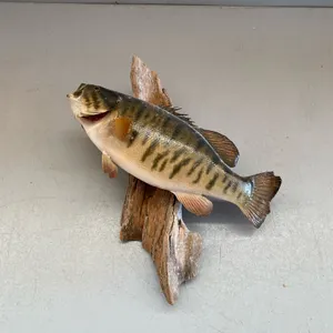 MOUNT