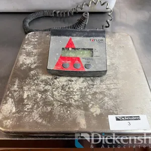 TAYLOR 220LB PLATFORM SCALE