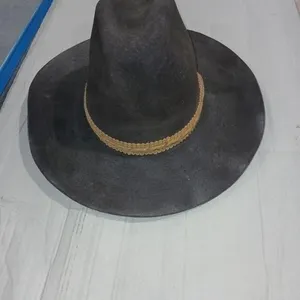 Dark Brown/light Brown band Biltmore Western hat