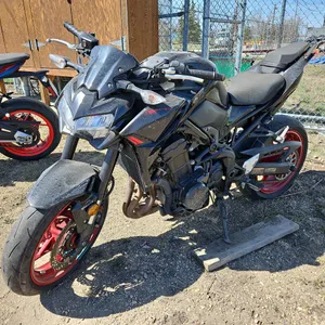2024  Kawasaki  Z900