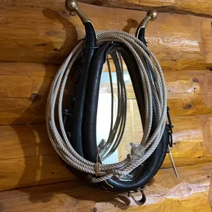 HORSE HAME MIRROR & LARIAT
