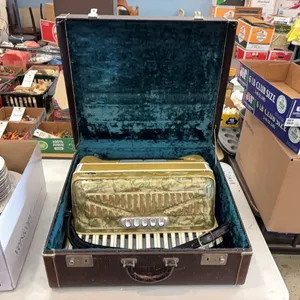 Video Accordian with Case