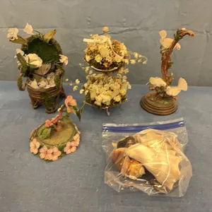 Sea Shells & Decor