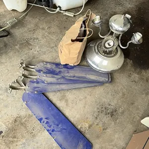 Ceiling fan