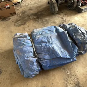 Tarp