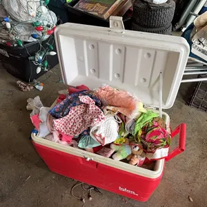Cooler with toys