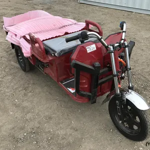 2026 IRET13 Electric Tricycle
 UNRESERVED
