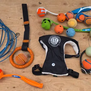 Dog Toys, Leashes, and Harnesses Featuring AKC Harness