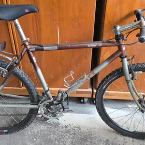 Oryx Bicycle With 21-Speed Gear System and Rear Rack