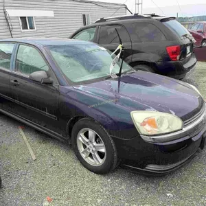 2005 Chevrolet Malibu SN: 1G1ZT64865F132873
