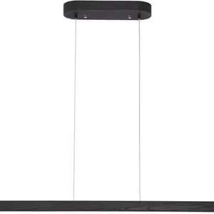 NEW $200 (40") Black Linear Pendant Light Fixture