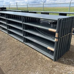 Quantity of (16) 2026 BYT MRG160 16 ft x 4 ft Magnum Ranch Livestock Gate (Unused)
