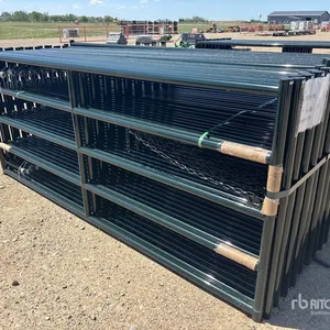 Quantity of (20) 2026 BYT RG1010 10 ft x 4 ft HD Ranch Livestock Gate (Unused)