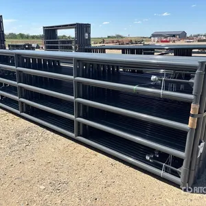 Quantity of (16) 2026 BYT MRG160 16 ft x 4 ft Magnum Ranch Livestock Gate (Unused)