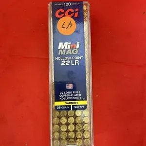 22LR Ammo