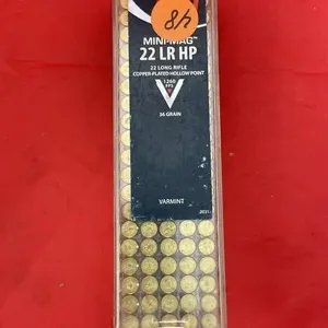 22LR Ammo
