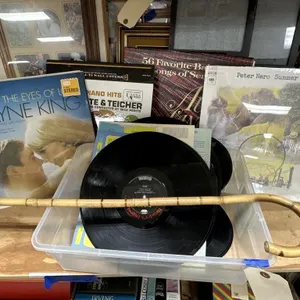 Bamboo Cane - Assorted Vinyl Albums