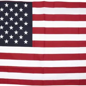 Annin Flagmakers 3x5 ft American Flag