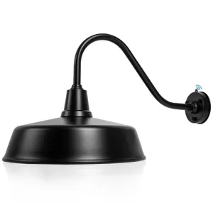 Naurham 21 Black Barn Light
