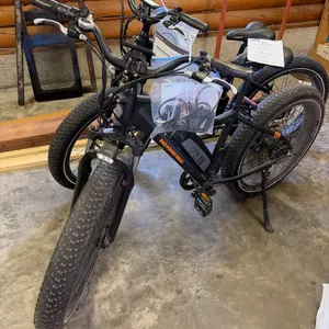 RadRover Electric Bike by Rad Power Bike— Fat-tire e-bike  (1 Bike per Lot)