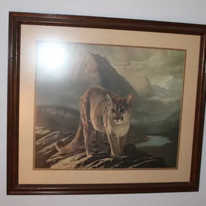 Charles Frace Cougar Print