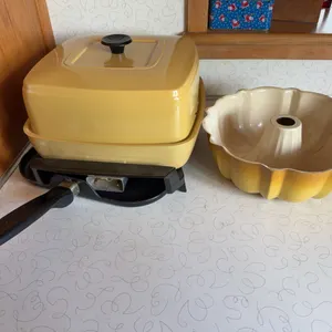 Bundt Pan & Electric Skillet
