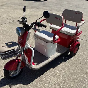 2026 IRGC40 Electric Scooter Golf Cart