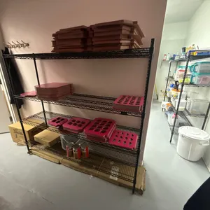 (5) QUANTUM STORAGE SHELVES APPROX 5.5 FT - 6 FT