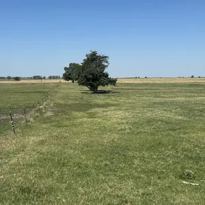 Small Estate Land Auction