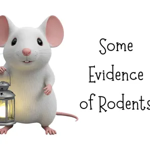 Evidence of Rodents