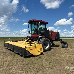 2009 Case IH WD2303 Mower Conditioner Windrower