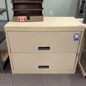 Filing Cabinet with File Organizer - 38x28.5