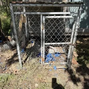 Chain link pen  with metal top  48 inches x 38