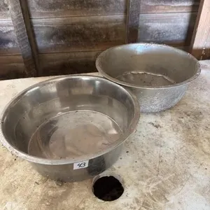 2 stainless dog bowls
