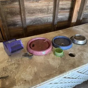 Miscellaneous bird feeder items