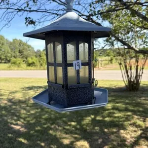 Bird feeder and others items hanging in tree