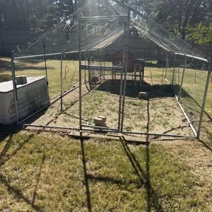 Chicken pen with coop 19 ft 8 in x 9 ft 9 in