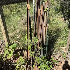 11 uses T post approx 60 inches tall