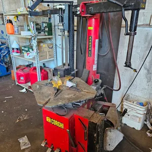 Corghi A9824T.I. Swing Arm Tire Changer, 115V