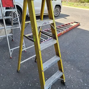 Green Bull 5' Aluminum Ladder