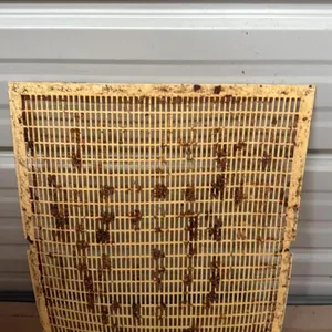 Plastic Queen Excluder
