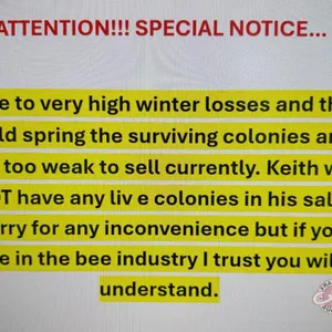 ATTENTION!!! SPECIAL NOTICE…  Due to very high winter losses and the cold spring the surviving colonies are just too weak to sell currently. Keith wil