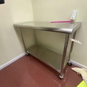 Rolling Stainless Steel Table 48"L x 24"W x 38"