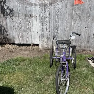 3 Wheeled Desoto Classic Trike