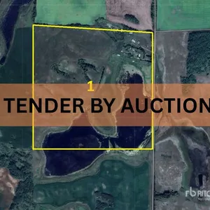 Hoffman Farmland Tender By Auction