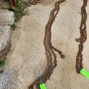 Chains Some w/ Hooks
