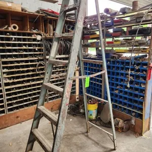 8' Werner Step Ladder