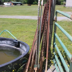 Approximately 17 T Posts