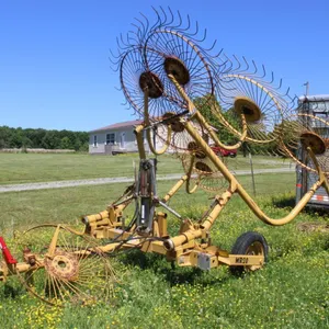 2004 Vermeer WR20 Hay Rake